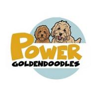 Power Goldendoodles Logo