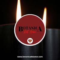 Botánica Del Amor Logo