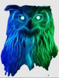 Night Owls Razors Logo