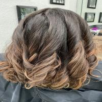 Mane Design Hair Salon Logo