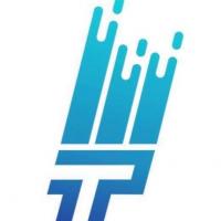 That 1 Painter Houston Logo