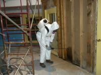 Mesa Mold Remediation- Mold Containment and Removal Logo