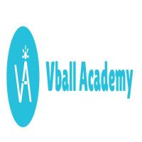 Volleyball Academy Miami Logo
