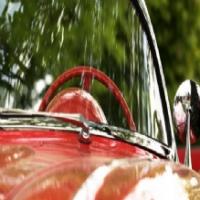 Ellington Autoglass Logo