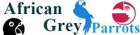 African Grey Parrots Logo