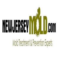 NewjerseyMold.com Logo