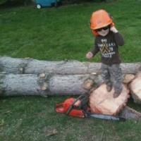 Tree Pros Logo