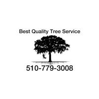 Best Quality Tree Service Logo