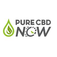 Pure CBD Now Logo