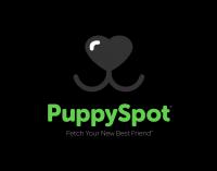 Bulldog Puppy Spot logo