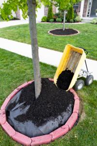HJR Landscape & Design Inc Logo