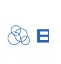 Bio-Safe One, Inc. Logo