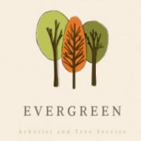 Evergreen Tree Trimming and Removal Service Logo