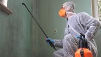 Mold Remediation Meridian Logo