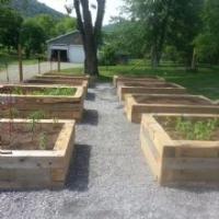 Shenandoah Landscaping Logo