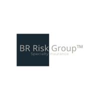 BR Risk Group Specialty Insurance Logo
