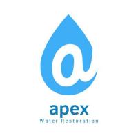 Apex Water Restoration Logo