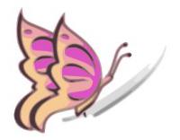 Warrior Butterflies.com logo