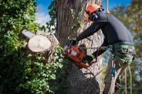 Washington DC Tree Service Pros Logo