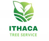 Ithaca Tree Service Logo