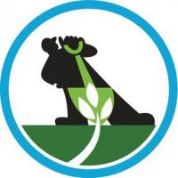 Aurora Landscaping And Snow Plowing Logo