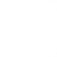 Backyard Fun Zone Logo