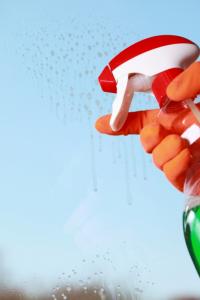 Maria Cleaning Services Logo