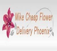 Same Day Flower Delivery Phoenix AZ - Send Flowers Logo