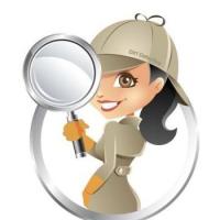 Dirt Detective Cleaning Logo