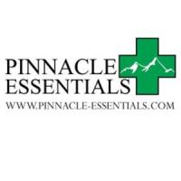 Pinnacle Essentials Group LLC Logo