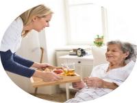 Home Care Novi MI Logo