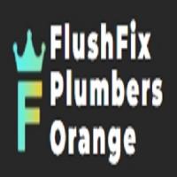 FlushFix Plumbers Orange Logo