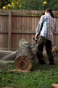 Culley Tree Service Logo