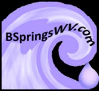 My Berkeley Springs LLC logo