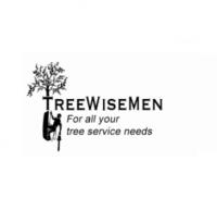 Treewisemen Logo