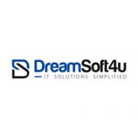 Dreamsoft4u Private limited logo
