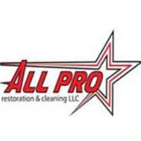 All Pro Restoration & Cleaning Logo