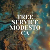 Tree Service Modesto CA Logo