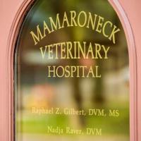 Mamaroneck Veterinary Hospital Logo