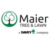 Maier Tree & Lawn Logo