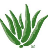 Aloe Up Logo