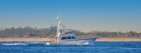 TOP SHOT Fort Lauderdale fishing charters Logo