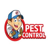 Palm Coast Pest Control Logo