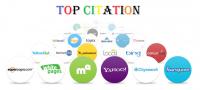 Top Citation Logo