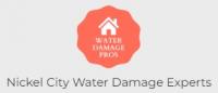Nickel City Water Damage Experts Logo