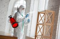 The Old Colony State Mold Removal Experts Logo