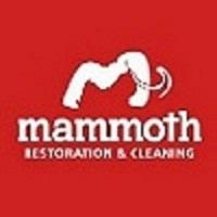 Mammoth Restoration & Cleaning Logo