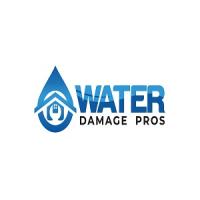 Cobb Water Damage Pros logo