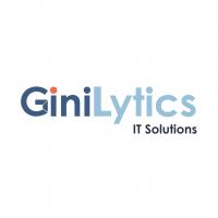 GiniLytics IT Solutions Logo