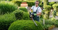 Carlos Landscaping Logo